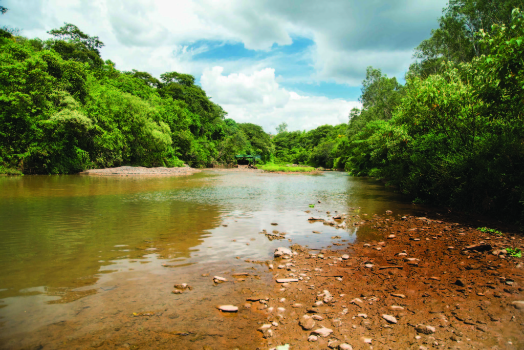 Revista Rio das Velhas Nº1 Crise hídrica no Rio das Velhas CBH Rio